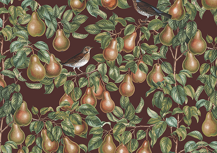 Pears, Russet - Roller Blind - Image 6